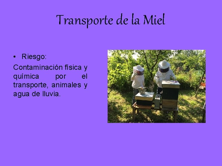 Transporte de la Miel • Riesgo: Contaminación física y química por el transporte, animales