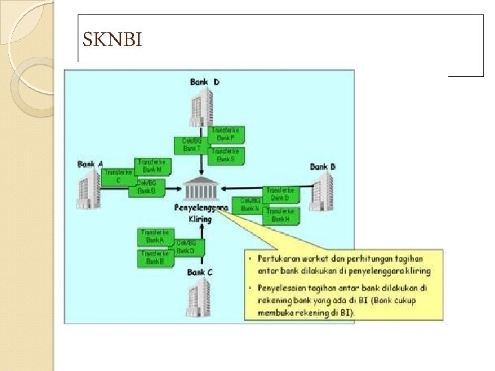 SKNBI 