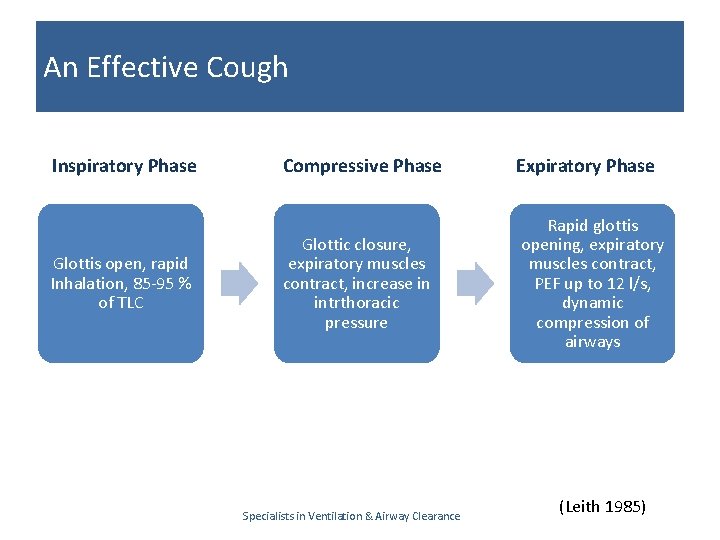 An Effective Cough Inspiratory Phase Glottis open, rapid Inhalation, 85 -95 % of TLC