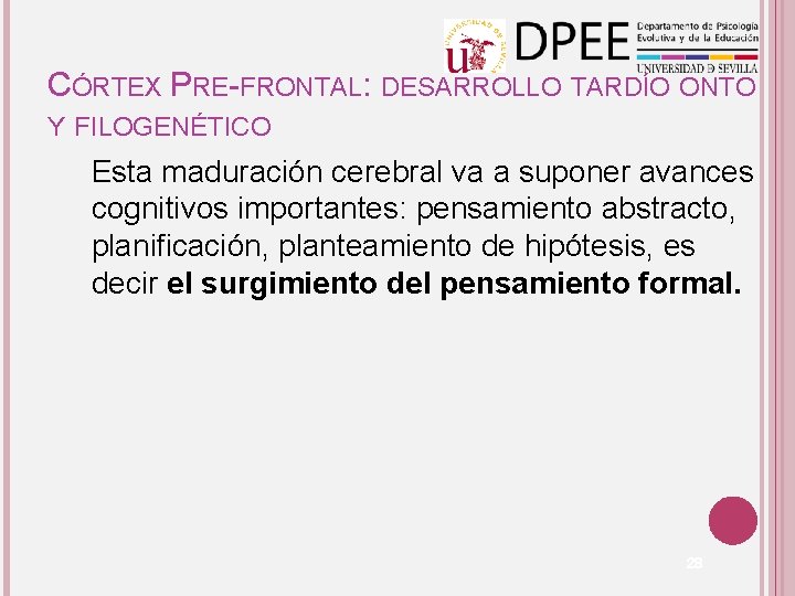 CÓRTEX PRE-FRONTAL: DESARROLLO TARDÍO ONTO Y FILOGENÉTICO Esta maduración cerebral va a suponer avances CÓRTEX PRE-FRONTAL: DESARROLLO TARDÍO ONTO Y FILOGENÉTICO Esta maduración cerebral va a suponer avances