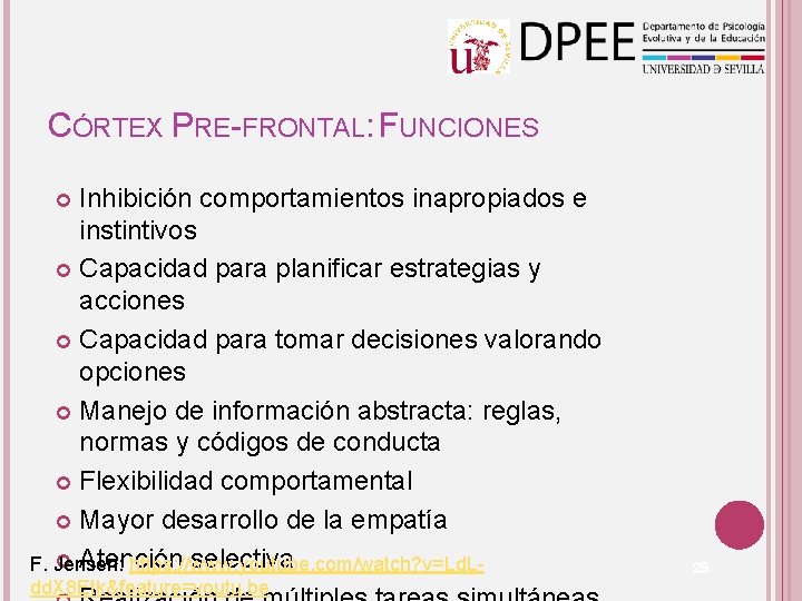 CÓRTEX PRE-FRONTAL: FUNCIONES Inhibición comportamientos inapropiados e instintivos Capacidad para planificar estrategias y acciones