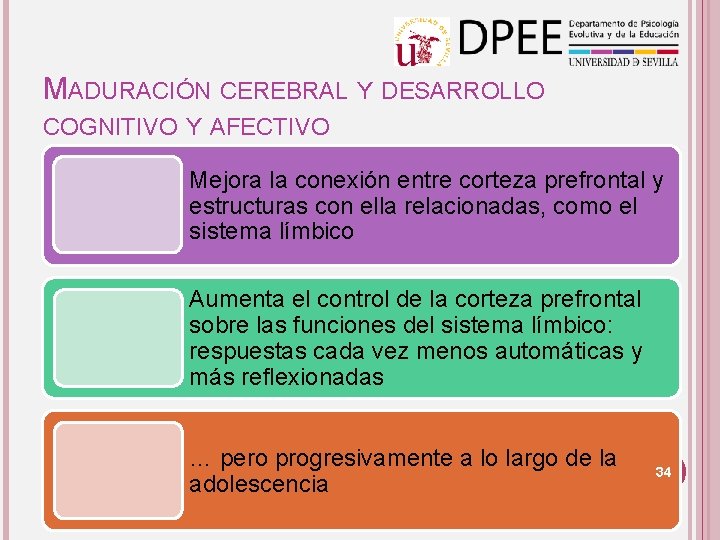 MADURACIÓN CEREBRAL Y DESARROLLO COGNITIVO Y AFECTIVO Mejora la conexión entre corteza prefrontal y