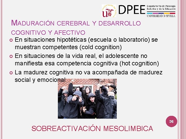 MADURACIÓN CEREBRAL Y DESARROLLO COGNITIVO Y AFECTIVO En situaciones hipotéticas (escuela o laboratorio) se