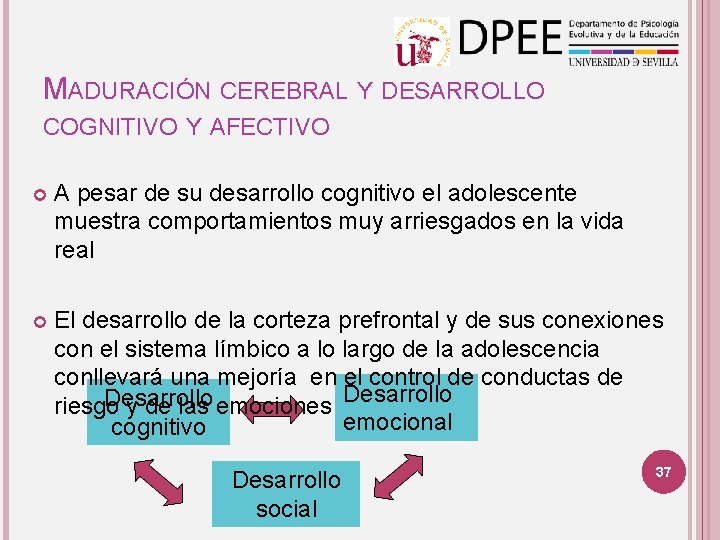 MADURACIÓN CEREBRAL Y DESARROLLO COGNITIVO Y AFECTIVO A pesar de su desarrollo cognitivo el