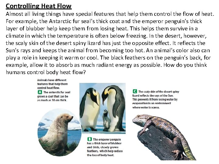 Controlling Heat Flow Almost all living things have special features that help them control