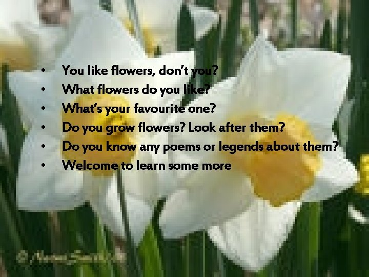  • • • You like flowers, don’t you? What flowers do you like?