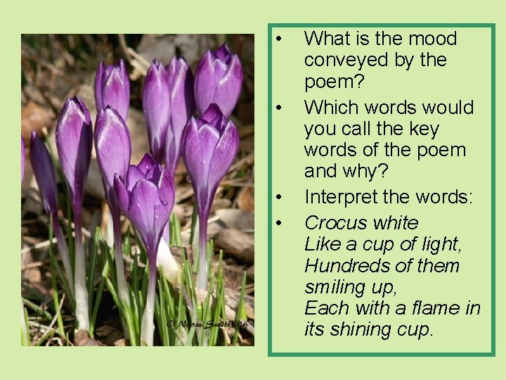  • • What is the mood conveyed by the poem? Which words would