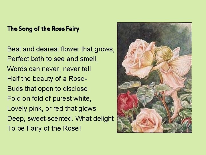 The Song of the Rose Fairy Best and dearest flower that grows, Perfect both