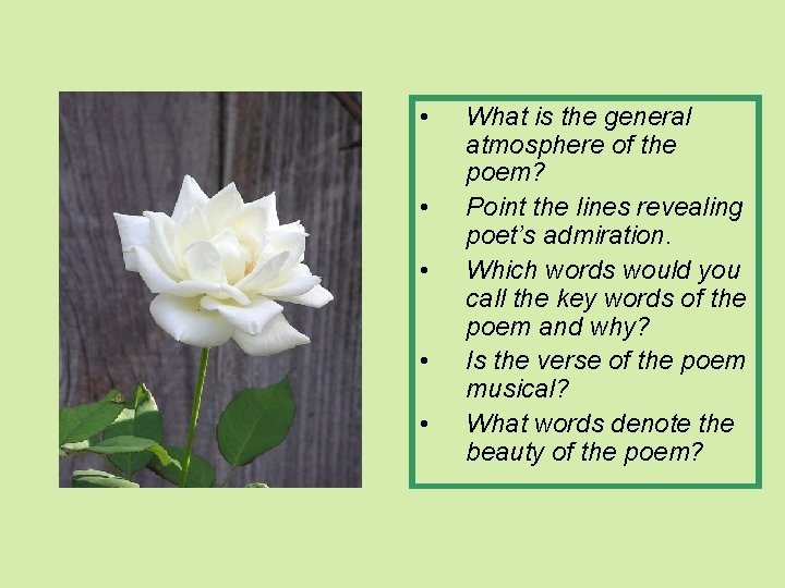  • • • What is the general atmosphere of the poem? Point the