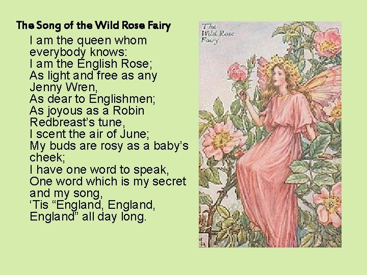 The Song of the Wild Rose Fairy I am the queen whom everybody knows: