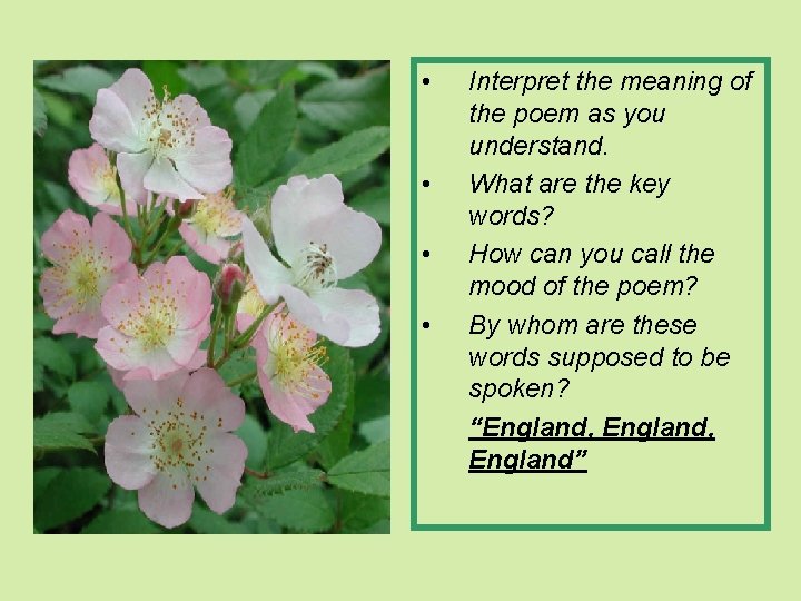  • • Interpret the meaning of the poem as you understand. What are