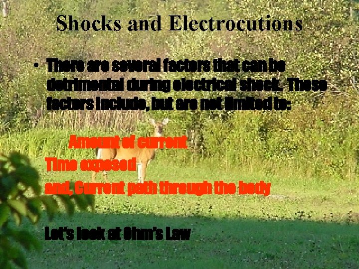 Shocks and Electrocutions • There are several factors that can be detrimental during electrical