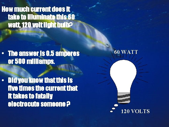 How much current does it take to illuminate this 60 watt, 120 volt light