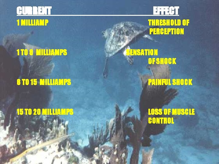 CURRENT 1 MILLIAMP 1 TO 8 MILLIAMPS EFFECT THRESHOLD OF PERCEPTION SENSATION OF SHOCK
