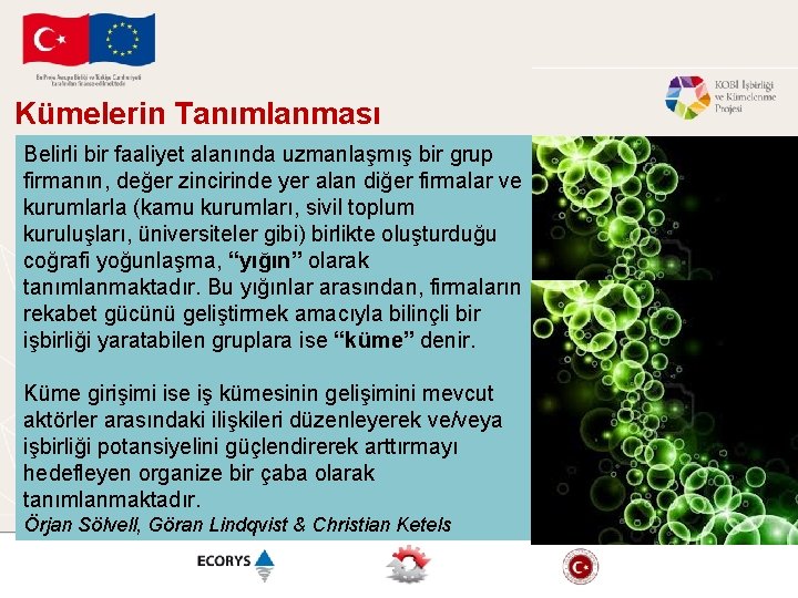 Kümelerin Tanımlanması Belirli bir faaliyet alanında uzmanlaşmış bir grup firmanın, değer zincirinde yer alan