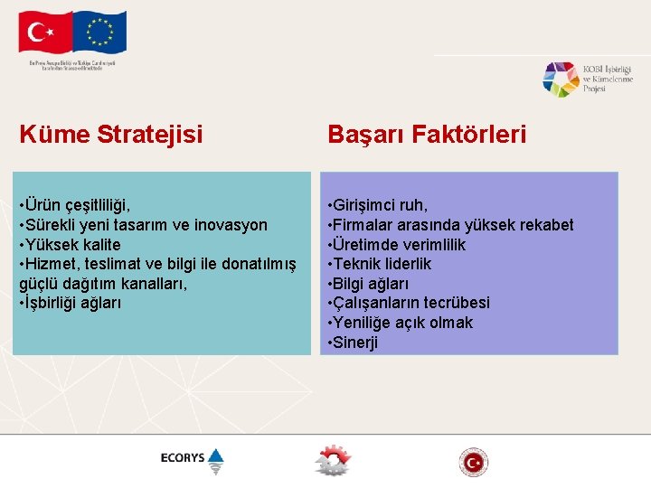 Küme Stratejisi Başarı Faktörleri • Ürün çeşitliliği, • Sürekli yeni tasarım ve inovasyon •