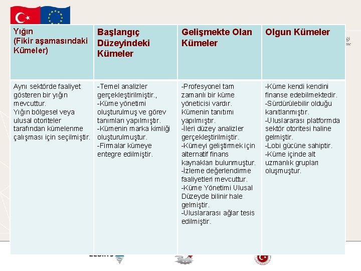 Yığın (Fikir aşamasındaki Kümeler) Başlangıç Düzeyindeki Kümeler Gelişmekte Olan Kümeler Olgun Kümeler Aynı sektörde