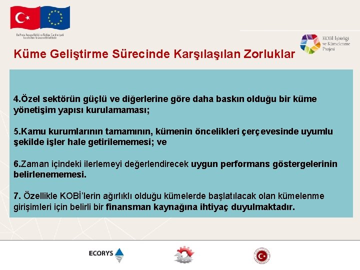 Küme Geliştirme Sürecinde Karşılan Zorluklar 4. Özel sektörün güçlü ve diğerlerine göre daha baskın