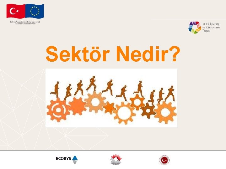 Sektör Nedir? 