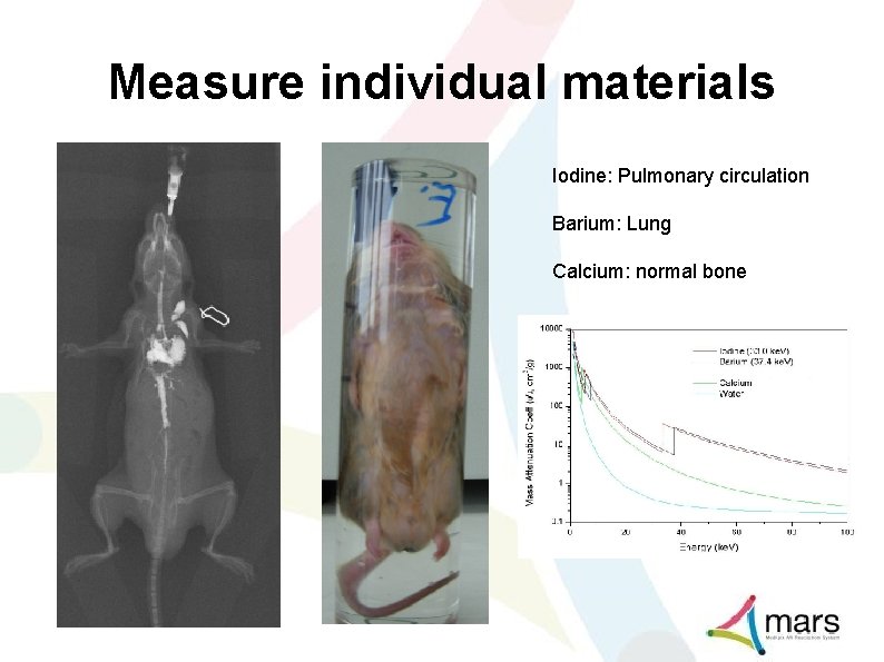 Measure individual materials Iodine: Pulmonary circulation Barium: Lung Calcium: normal bone 