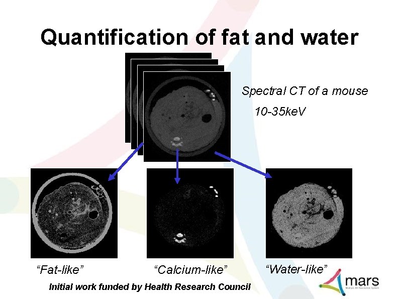 Quantification of fat and water Spectral CT of a mouse 10 -35 ke. V