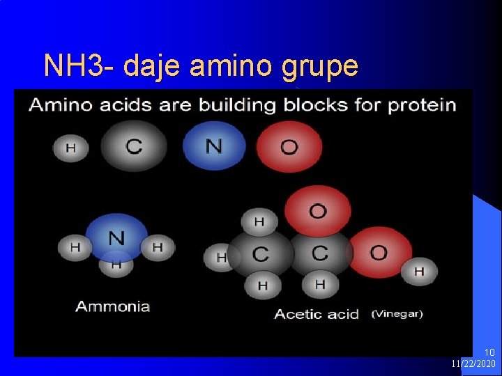 NH 3 - daje amino grupe 10 11/22/2020 