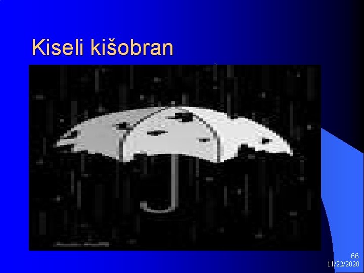 Kiseli kišobran 66 11/22/2020 