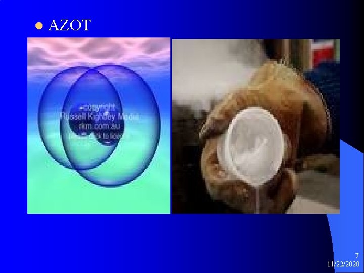 l AZOT 7 11/22/2020 