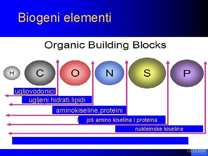 Biogeni elementi ugljovodonici ugljeni hidrati, lipidi aminokiseline, proteini još amino kiselina i proteina nukleinske