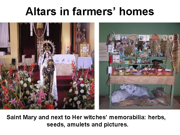 Altars in farmers’ homes Saint Mary and next to Her witches’ memorabilia: herbs, seeds,