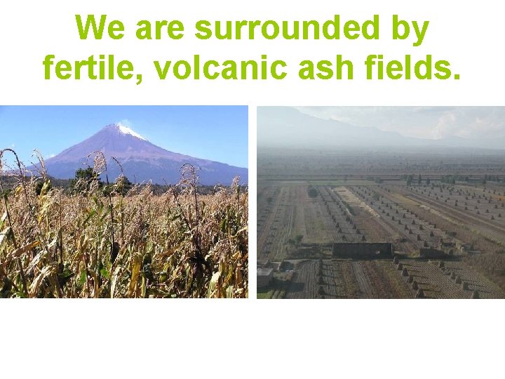 We are surrounded by fertile, volcanic ash fields. 