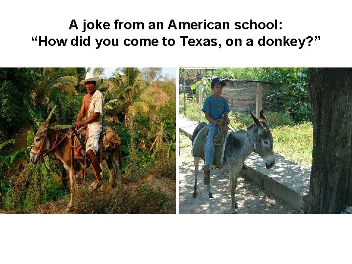 A joke from an American school: “How did you come to Texas, on a