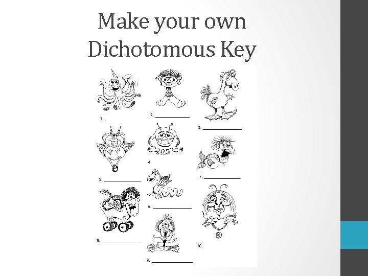 Make your own Dichotomous Key 