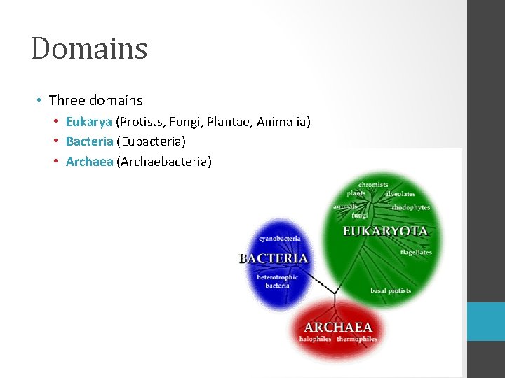 Domains • Three domains • Eukarya (Protists, Fungi, Plantae, Animalia) • Bacteria (Eubacteria) •