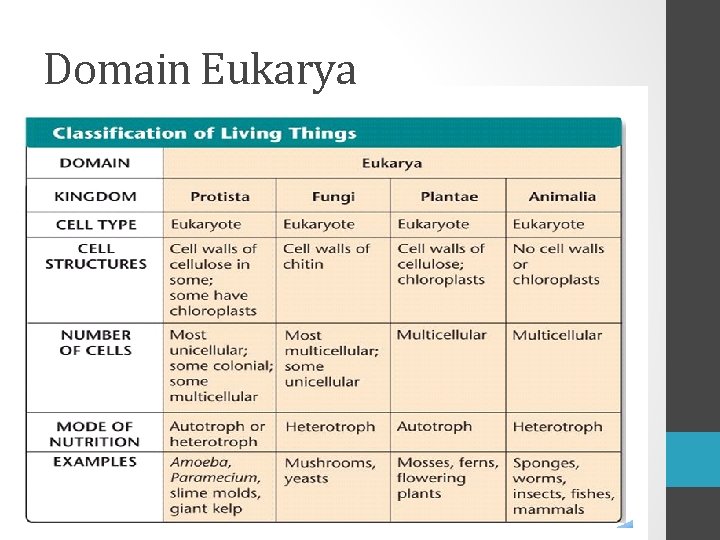 Domain Eukarya 