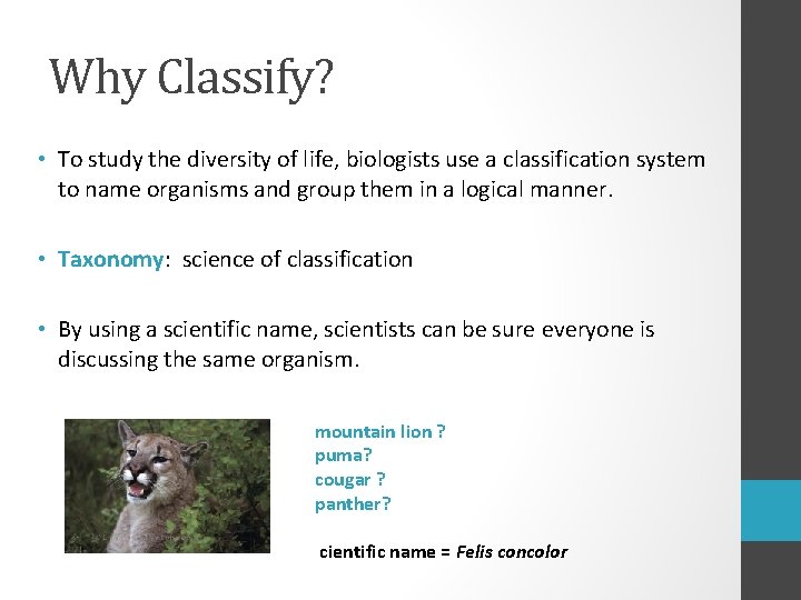 Why Classify? • To study the diversity of life, biologists use a classification system