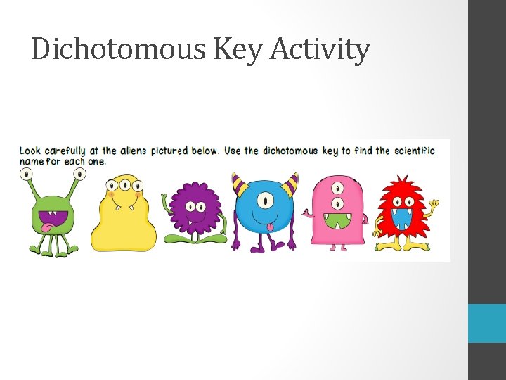 Dichotomous Key Activity 