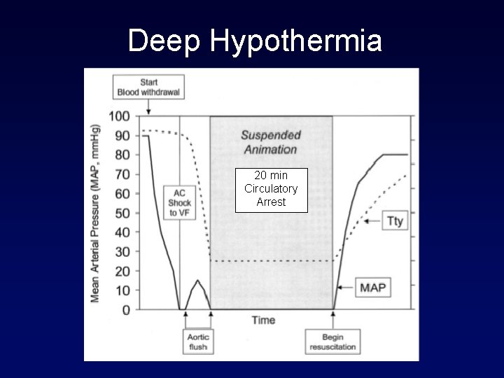 Deep Hypothermia 20 min Circulatory Arrest 