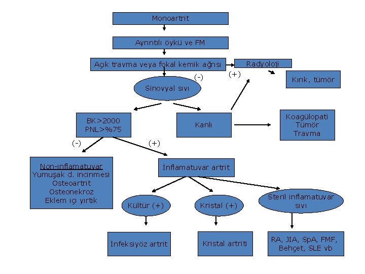 Monoartrit Ayrıntılı öykü ve FM Radyoloji Açık travma veya fokal kemik ağrısı (-) (+)