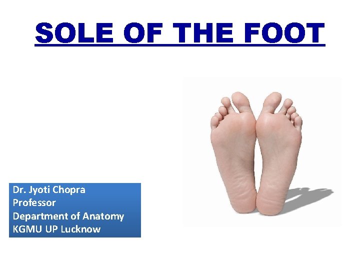 SOLE OF THE FOOT Dr. Jyoti Chopra Professor Department of Anatomy KGMU UP Lucknow