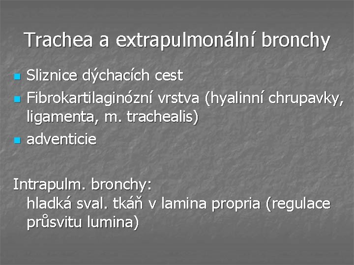 Trachea a extrapulmonální bronchy n n n Sliznice dýchacích cest Fibrokartilaginózní vrstva (hyalinní chrupavky,