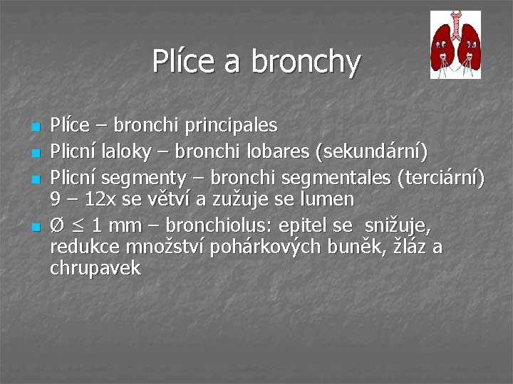 Plíce a bronchy n n Plíce – bronchi principales Plicní laloky – bronchi lobares