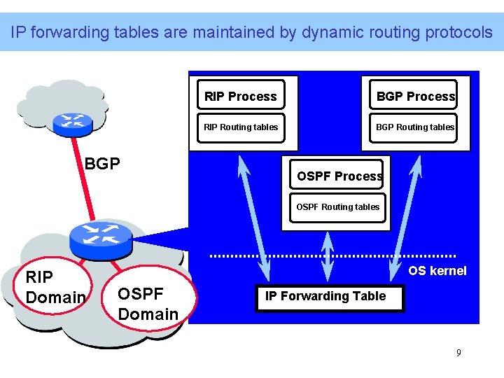 IP forwarding tables are maintained by dynamic routing protocols BGP RIP Process BGP Process IP forwarding tables are maintained by dynamic routing protocols BGP RIP Process BGP Process