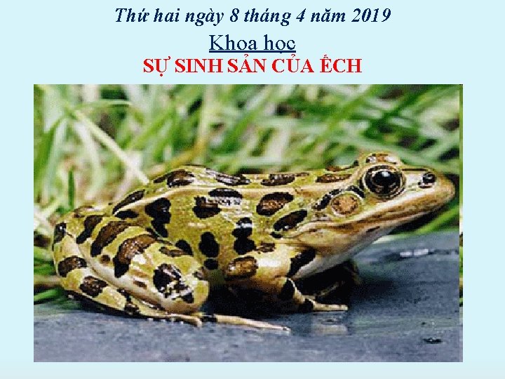 Thứ hai ngày 8 tháng 4 năm 2019 Khoa học SỰ SINH SẢN CỦA