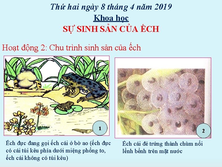 Thứ hai ngày 8 tháng 4 năm 2019 Khoa học SỰ SINH SẢN CỦA