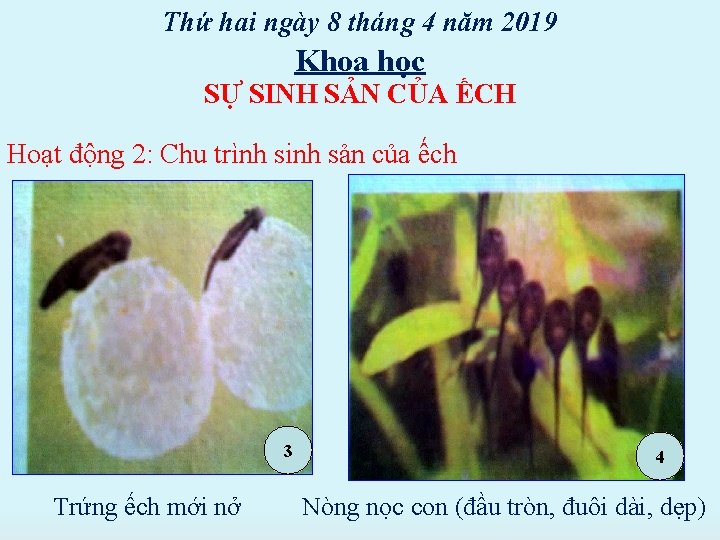 Thứ hai ngày 8 tháng 4 năm 2019 Khoa học SỰ SINH SẢN CỦA