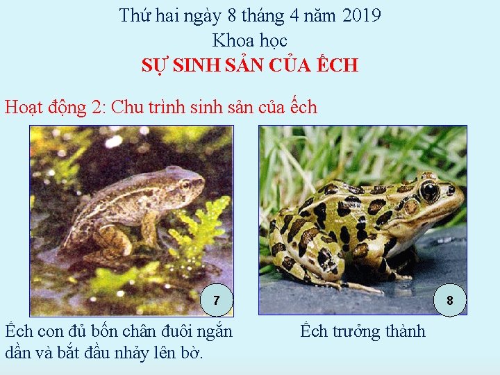 Thứ hai ngày 8 tháng 4 năm 2019 Khoa học SỰ SINH SẢN CỦA