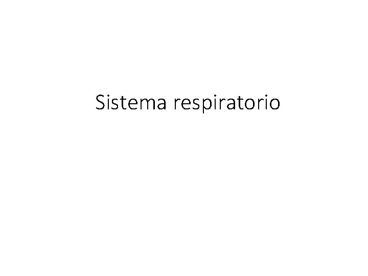 Sistema respiratorio 