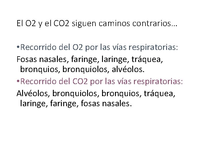 El O 2 y el CO 2 siguen caminos contrarios… • Recorrido del O