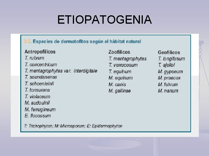 ETIOPATOGENIA 